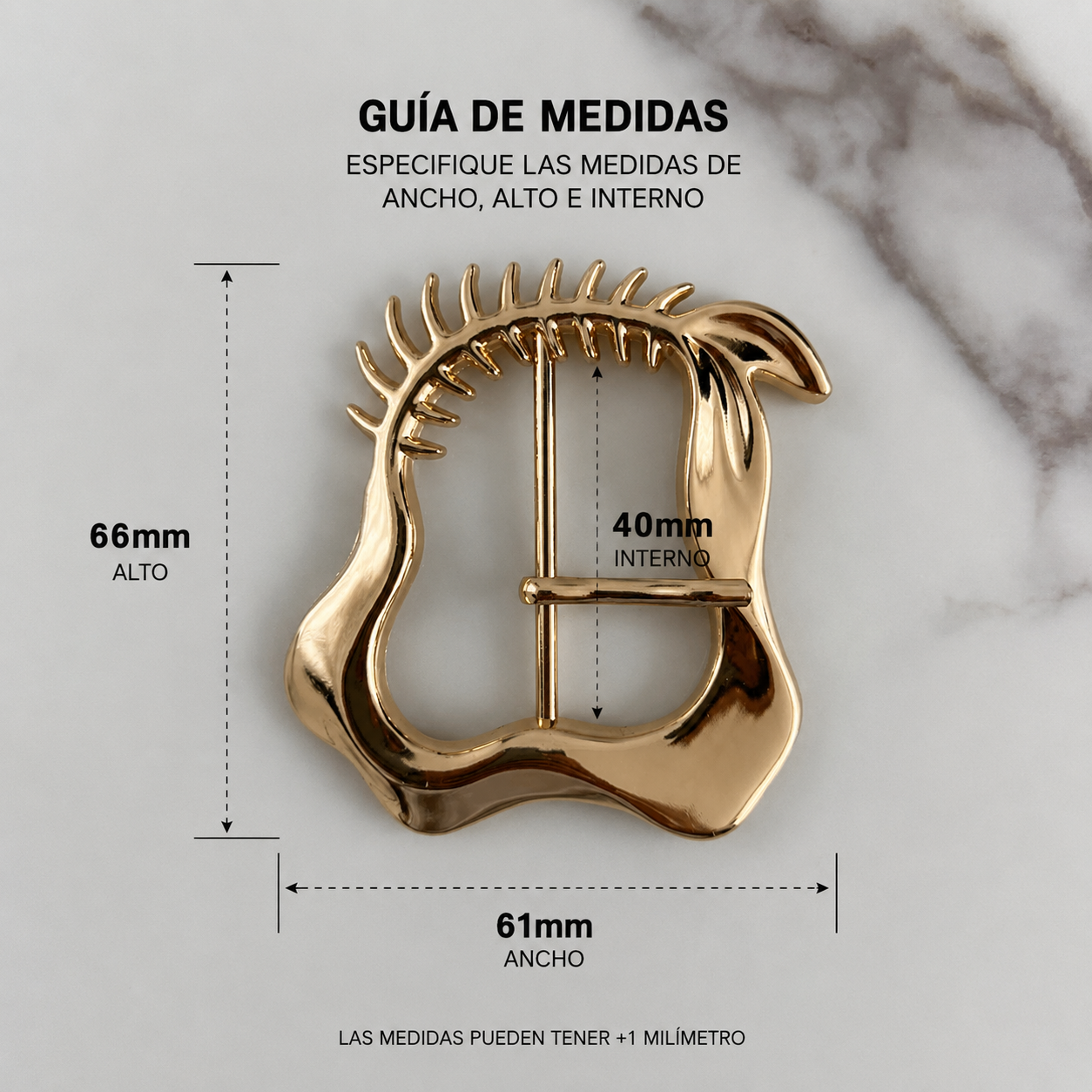 H10060 HEBILLA DECORATIVA
