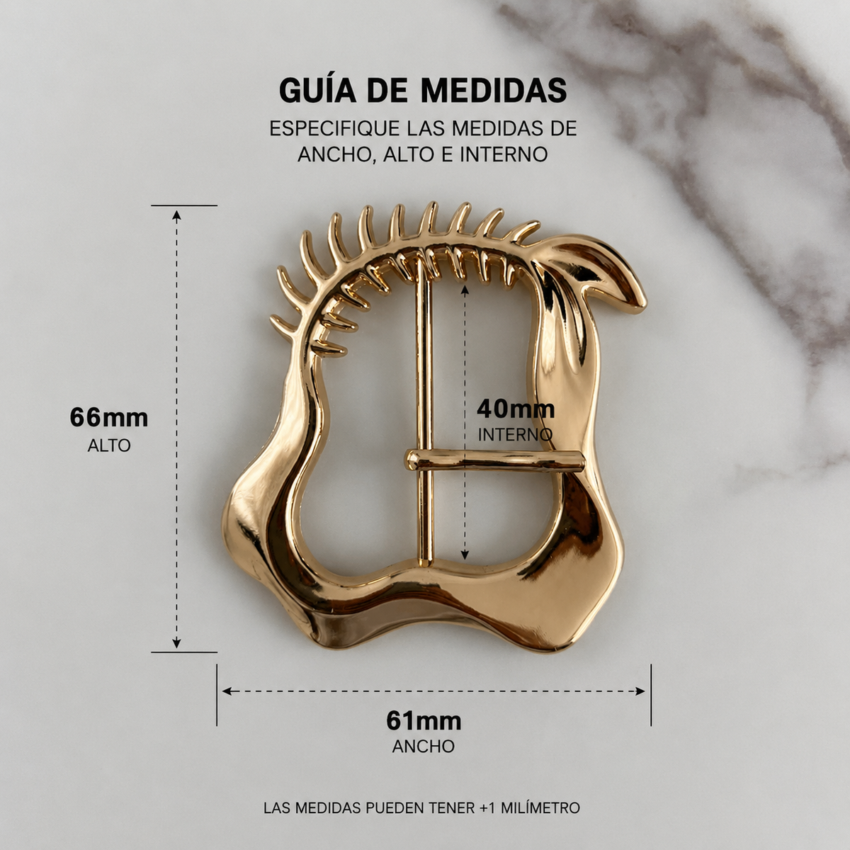 H10060-40-SEP HEBILLA DECORATIVA