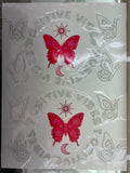 PLANTILLA DAMA PEDRERÍA